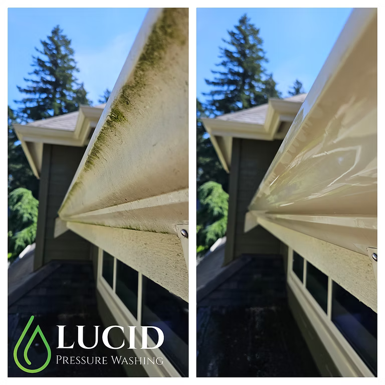 Lucid Pressure Washing — house washing project in Chilliwack, BC