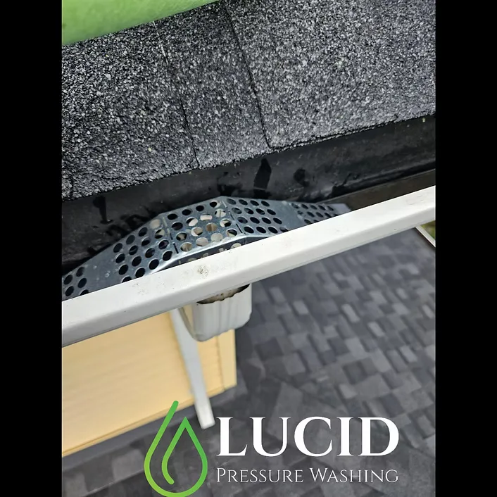 Gutter basket installed over a downspout opening in Chilliwack, BC