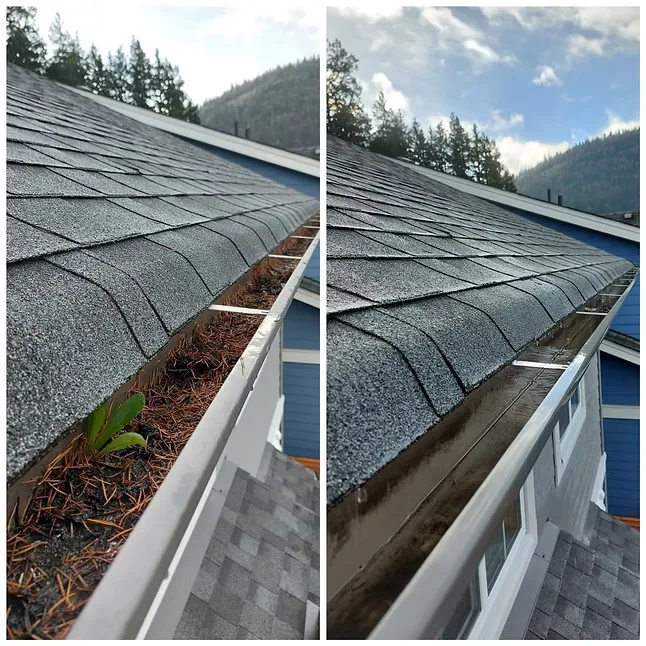 Gutter cleaning in Chilliwack, BC — before and after