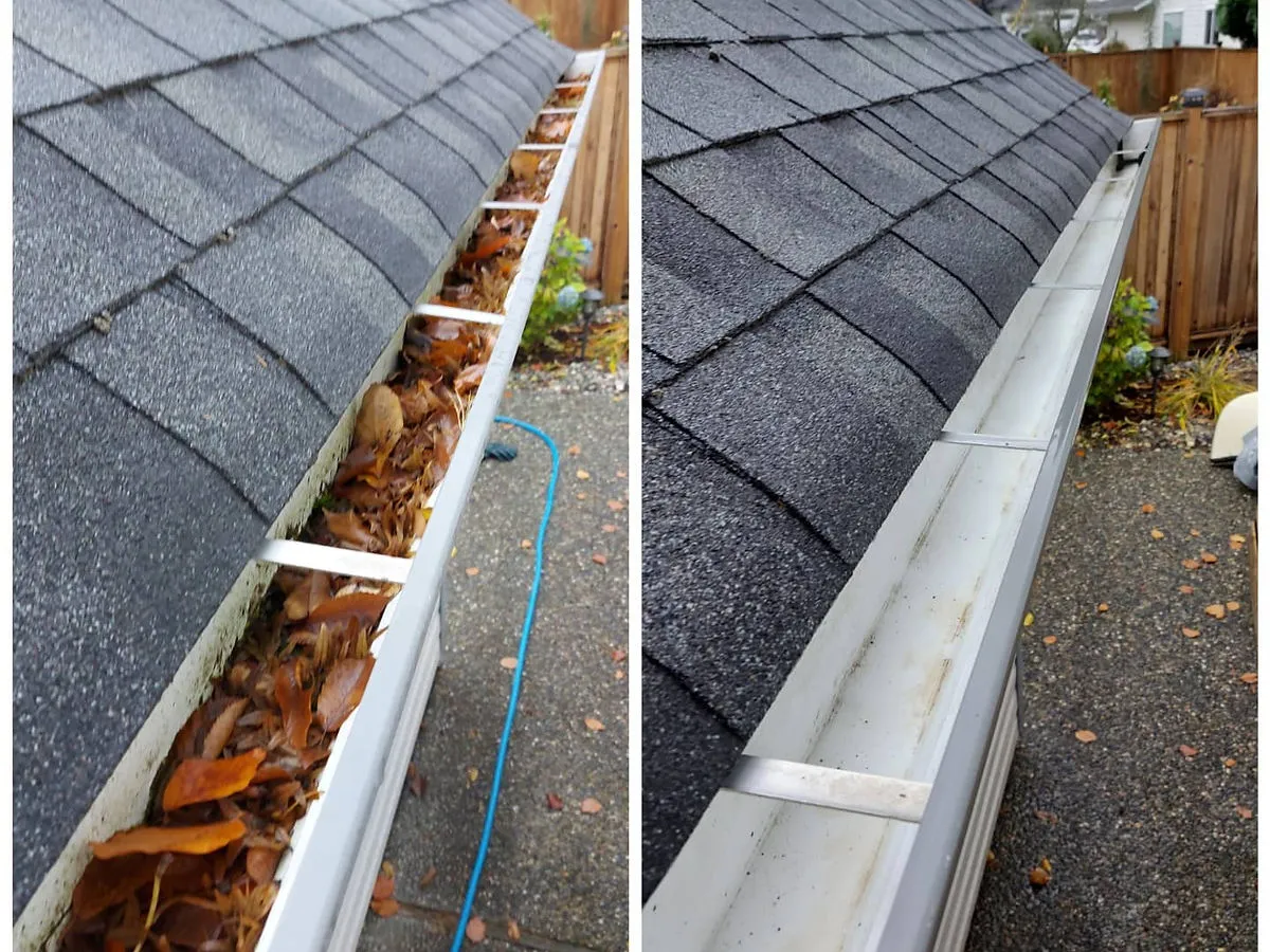 Gutter cleaning and downspout flushing in Chilliwack, BC — Lucid Pressure Washing