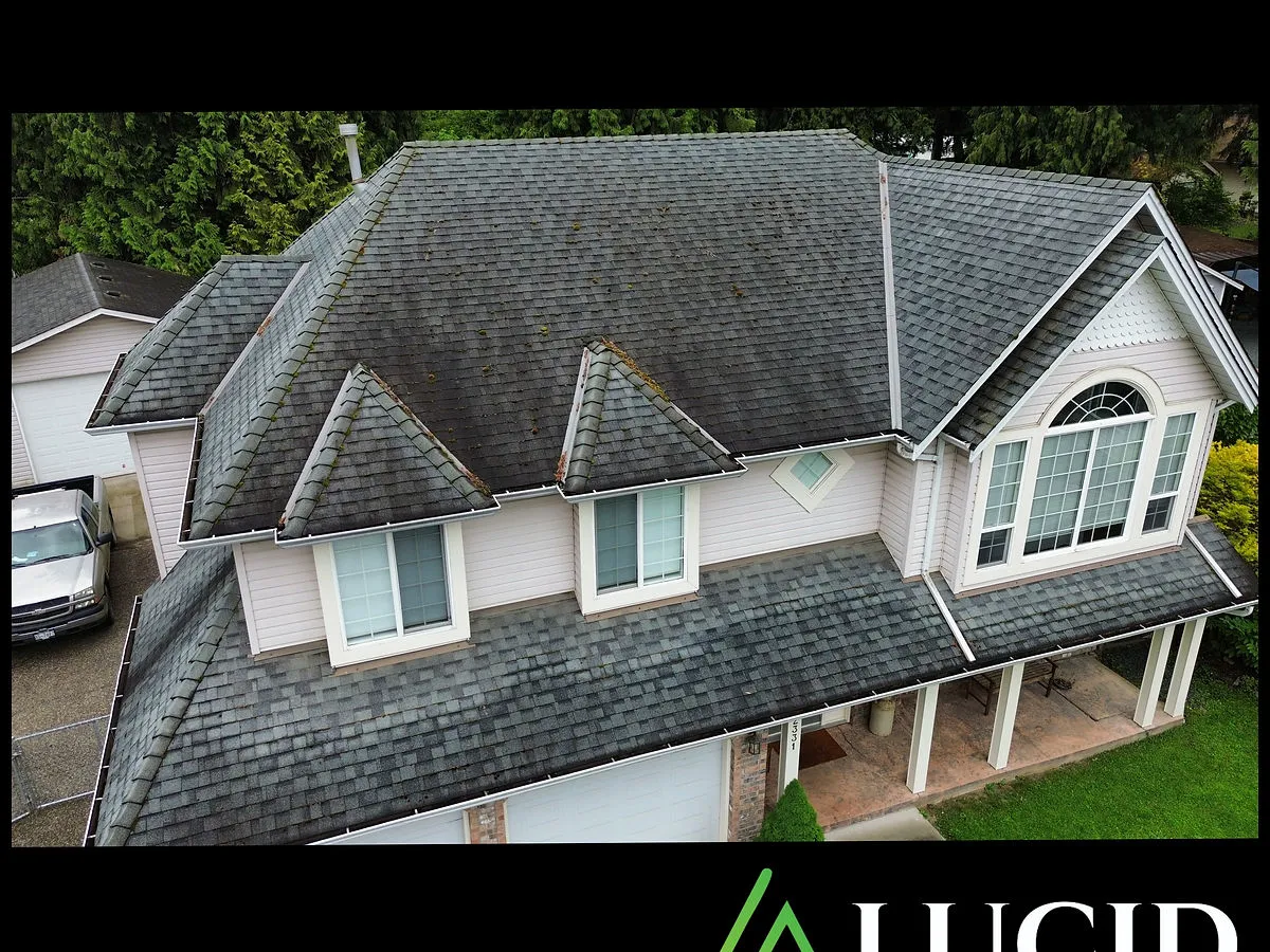 Moss removal from a roof in Chilliwack & Hope — Lucid Pressure Washing