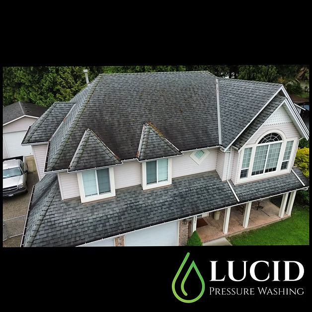 Moss removal from a roof in Chilliwack & Hope — Lucid Pressure Washing